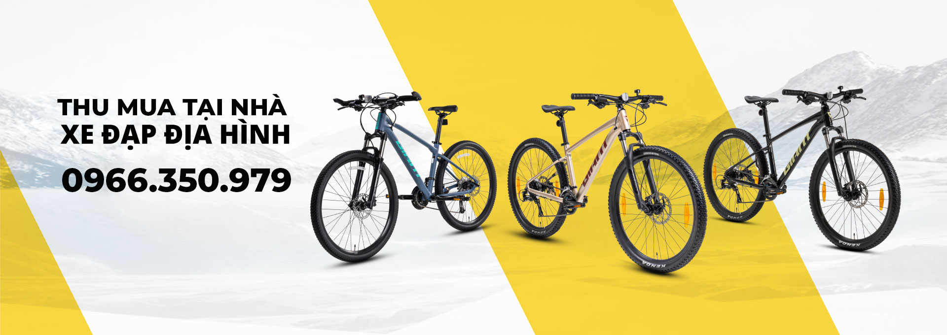 Thu mua xe đạp địa hình Giant, Trek cao cấp, thu tại nhà