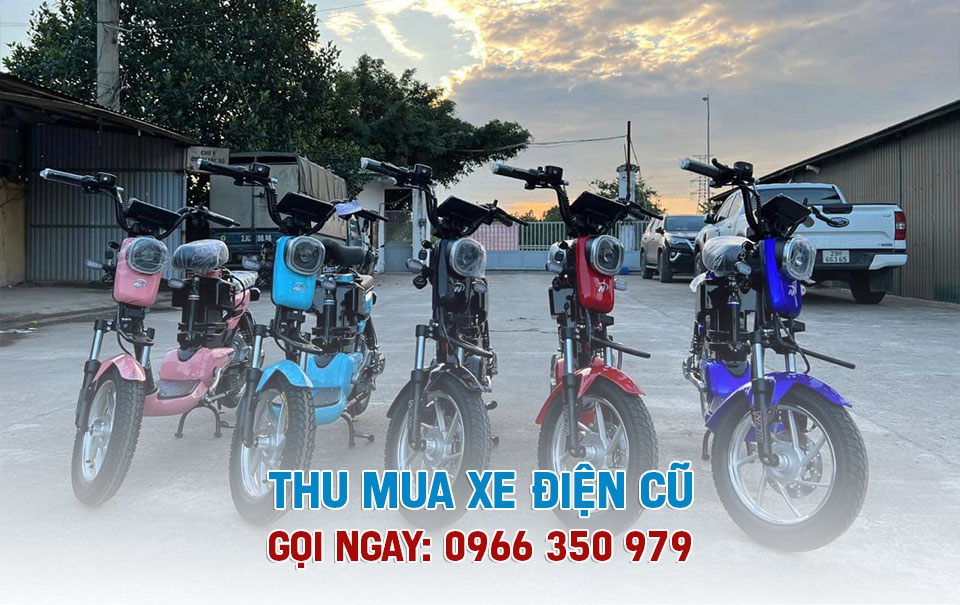 Thu mua xe điện cũ